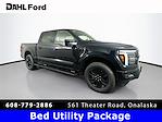 2025 Ford F-150 SuperCrew Cab 4x4 Pickup for sale #325F447 - photo 1