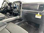 New 2025 Ford F-150 XLT SuperCrew Cab 4x4 Pickup for sale #325F468 - photo 28
