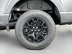 2025 Ford F-150 SuperCrew Cab 4x4 Pickup for sale #325F481 - photo 29