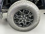 New 2025 Ford F-150 XLT SuperCrew Cab for sale #325F625 - photo 29