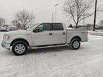 2014 Ford F-150 SuperCrew Cab 4WD Pickup for sale #325F6671 - photo 12