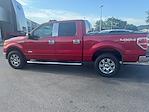 2012 Ford F-150 SuperCrew Cab 4x4 Pickup for sale #3P53061 - photo 14