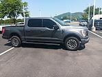 2023 Ford F-150 SuperCrew Cab 4x4 Pickup for sale #3P5311 - photo 4