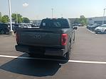 2023 Ford F-150 SuperCrew Cab 4x4 Pickup for sale #3P5311 - photo 9