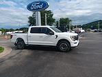 2023 Ford F-150 SuperCrew Cab 4x4 Pickup for sale #3P5349 - photo 3