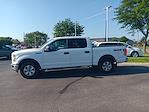 2016 Ford F-150 SuperCrew Cab 4x4 Pickup for sale #3P5352 - photo 16