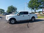 2016 Ford F-150 SuperCrew Cab 4x4 Pickup for sale #3P5352 - photo 17