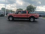 2014 Ford F-150 SuperCrew Cab 4x4 Pickup for sale #3P53571 - photo 17