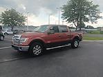 2014 Ford F-150 SuperCrew Cab 4x4 Pickup for sale #3P53571 - photo 20