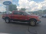 2014 Ford F-150 SuperCrew Cab 4x4 Pickup for sale #3P53571 - photo 4