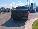 2023 Ford F-150 SuperCrew Cab 4x4 Pickup for sale #3P5395 - photo 14