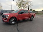 2023 Ford F-150 SuperCrew Cab 4WD Pickup for sale #3P5479 - photo 15