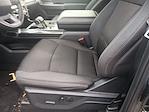 2023 Ford F-150 SuperCrew Cab 4WD Pickup for sale #3P5522 - photo 19