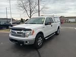 2014 Ford F-150 Super Cab 4WD Pickup for sale #3P55221 - photo 18