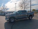 2023 Ford F-150 SuperCrew Cab 4WD Pickup for sale #3P5529 - photo 15