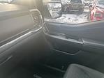2023 Ford F-150 SuperCrew Cab 4WD Pickup for sale #3P5571 - photo 21