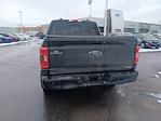 2023 Ford F-150 SuperCrew Cab 4WD Pickup for sale #3P5599 - photo 8