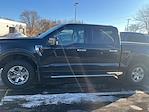 2023 Ford F-150 SuperCrew Cab 4WD Pickup for sale #526G0331 - photo 10