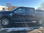 2023 Ford F-150 SuperCrew Cab 4x4 Pickup for sale #526G0331 - photo 9