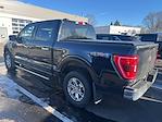 2023 Ford F-150 SuperCrew Cab 4WD Pickup for sale #526G0331 - photo 7