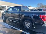 2023 Ford F-150 SuperCrew Cab 4WD Pickup for sale #526G0331 - photo 8