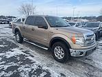 2013 Ford F-150 SuperCrew Cab 4WD Pickup for sale #5P26241 - photo 2