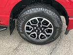 Used 2022 Ford F-150 XLT SuperCrew Cab for sale #8668 - photo 20
