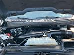 2023 Ford F-150 SuperCrew Cab 4x4 Pickup for sale #8675 - photo 30