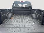 2024 Ford F-350 Crew Cab SRW 4x4 Pickup for sale #S229 - photo 9