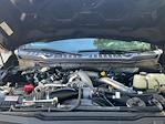 2024 Ford F-350 Crew Cab SRW 4x4 Pickup for sale #S229 - photo 19