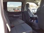 2024 Ford F-150 SuperCrew Cab 4x4, Pickup for sale #T4166 - photo 17