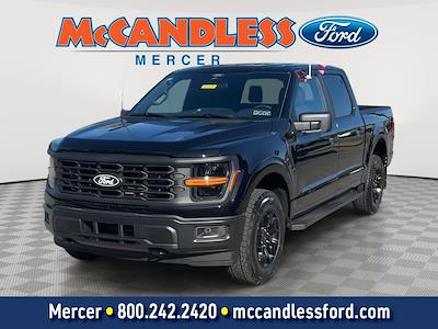 2025 Ford F-150 SuperCrew Cab 4x4 Pickup for sale #T5255 - photo 1