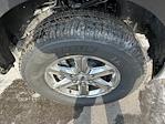 New 2025 Ford F-150 XLT SuperCrew Cab 4x4 Pickup for sale #T538 - photo 20