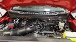 New 2026 Ford F-250 XL Regular Cab for sale #T633 - photo 21
