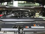 New 2026 Ford F-250 XL Regular Cab for sale #T635 - photo 21