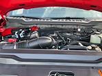 2026 Ford F-350 Regular Cab SRW 4x4 Pickup for sale #T65 - photo 20