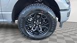 New 2026 Ford F-150 STX SuperCrew Cab for sale #T651 - photo 13