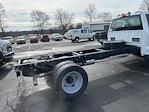 2024 Ford F-600 Regular Cab DRW 4x4 Cab Chassis for sale #X4227 - photo 6