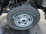 2024 Ford F-250 Regular Cab 4x4 Pickup for sale #X4257 - photo 19