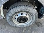 2024 Ford Transit 250 Low Roof RWD Empty Cargo Van for sale #X4264 - photo 20