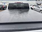 2025 Chevrolet Silverado 1500 Crew Cab 4x4 Pickup for sale #25197 - photo 6