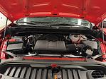 2025 Chevrolet Silverado 1500 Regular Cab 4x4 Pickup for sale #25431 - photo 29
