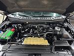 2020 Ford F-150 SuperCrew Cab 4x4 Pickup for sale #KL219 - photo 37