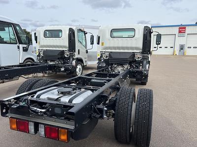 2025 Isuzu NPR-HD Regular Cab 4x2 Cab Chassis for sale #25017 - photo 2