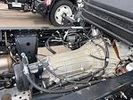 2025 Isuzu NPR-HD Regular Cab 4x2 Cab Chassis for sale #25017 - photo 50