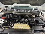 2021 Ford F-150 SuperCrew Cab 4x4 Pickup for sale #KL184 - photo 40