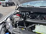 2025 Ford F-150 SuperCrew Cab 4x4 Pickup for sale #A02941 - photo 19