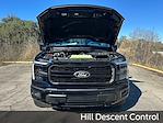 2026 Ford F-150 SuperCrew Cab 4WD Pickup for sale #A03385 - photo 20