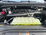 New 2025 Ford Expedition Active 4x4 SUV for sale #A05708 - photo 17