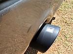 New 2025 Ford F-150 XLT SuperCrew Cab 4WD Pickup for sale #A06558 - photo 36